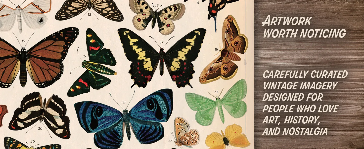 Amazon A+ content module showing a close up of Vintage Butterflies gift wrap showcasing the artwork.