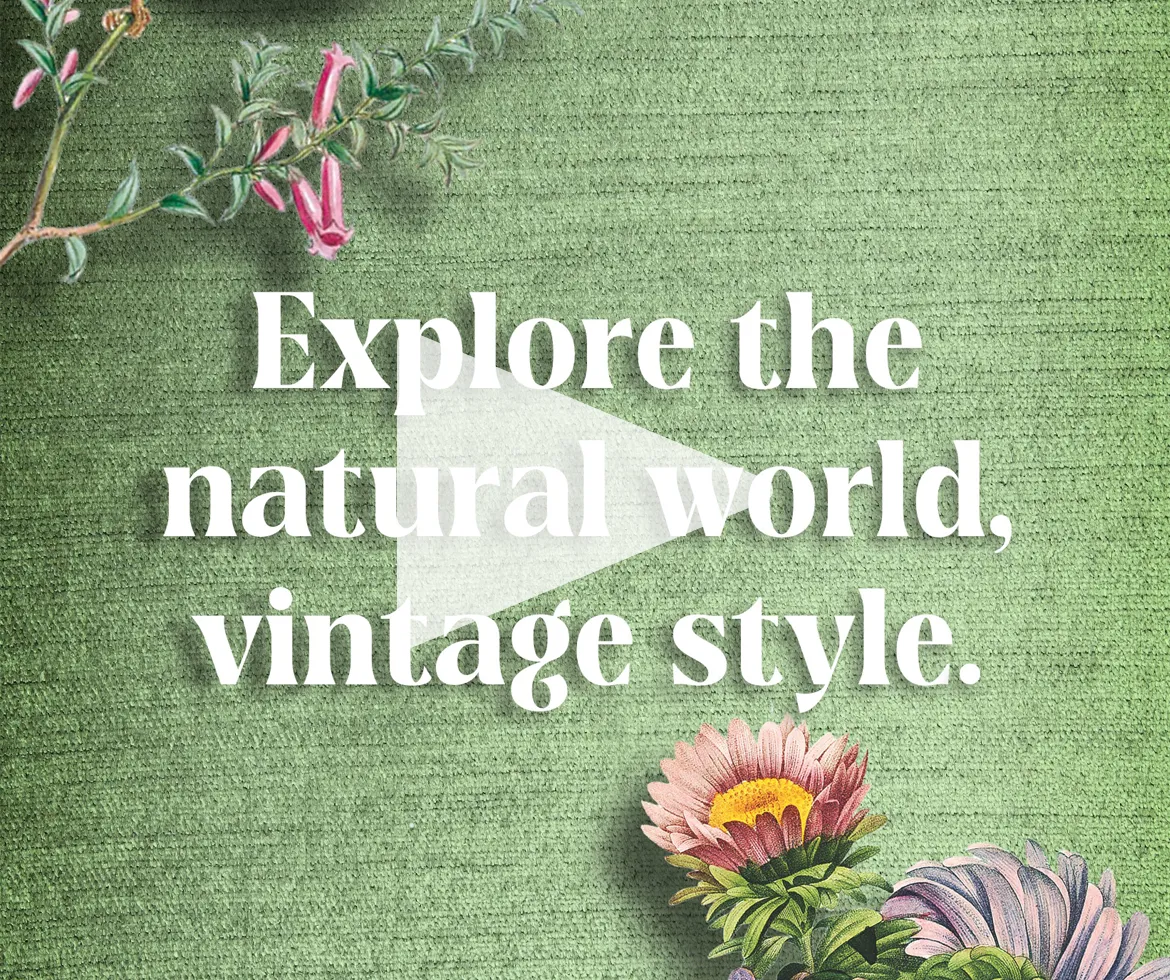 Cover for video project "Explore the natural world, vintage style."