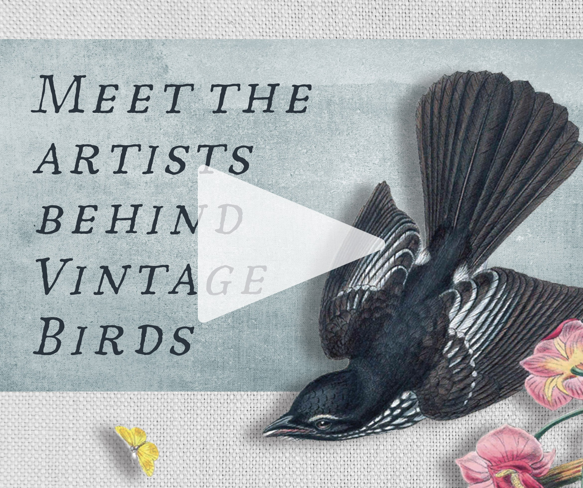 Cover for video project "Meet the Artists Behind Vintage Birds."